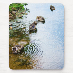 Grooming Ducks 2 Mouse Mat