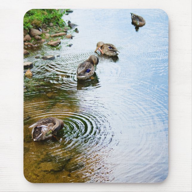 Grooming Ducks 2 Mouse Mat (Front)