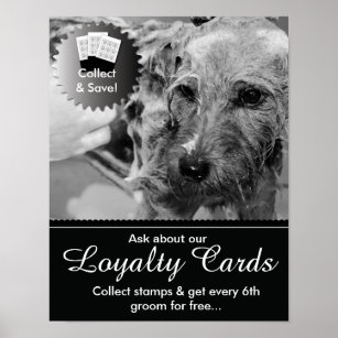 Grooming Loyalty Cards Poster