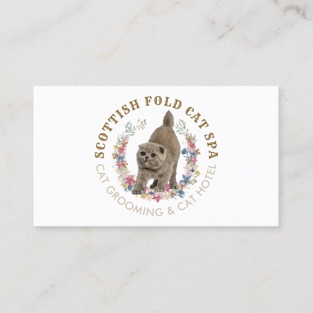 Grooming Salon Pet Spa Scottish Fold Cat Business Card (Front)