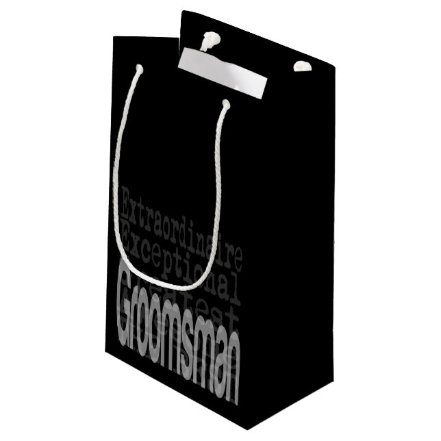 Groomsman Extraordinaire Small Gift Bag (Back Angled)