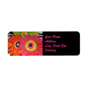 Groovy Gerbera Daisy Label