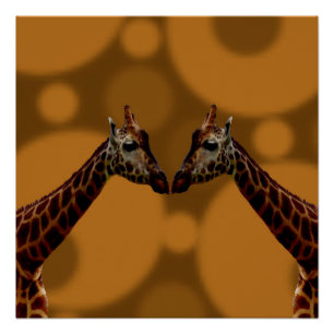 Groovy Giraffes A Go Go, Poster