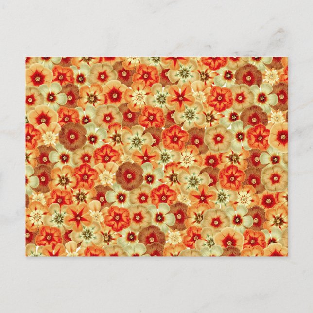 Groovy Retro Orange Hippie Flowers Pattern Holiday Postcard (Front)