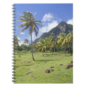 Gros Piton view along the historic trail in Notebook