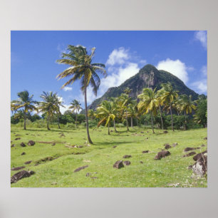 Gros Piton view along the historic trail in Poster