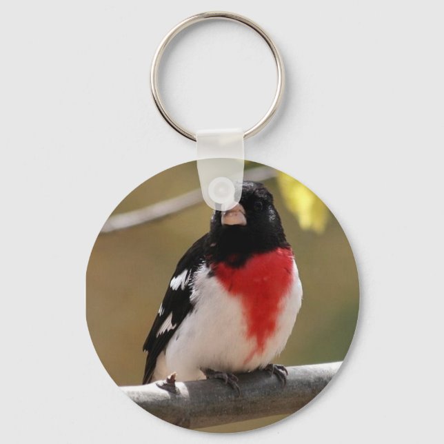 Grosbeak Keychain (Front)