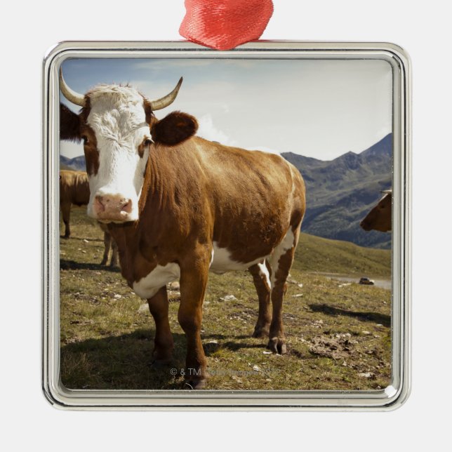 grossglockner hochalpenstrasse,hohe tauern, metal tree decoration (Front)