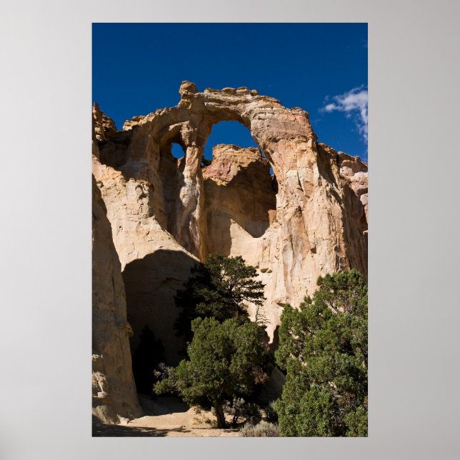 Grosvenor Arch Poster (Front)