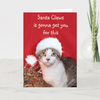 Grouchy Christmas cat Holiday Card