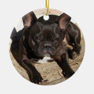Grouchy French Bulldog Ceramic Tree Decoration