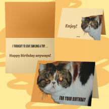 Grouchy Grumpy Cat Exotic Persian Funny Birthday