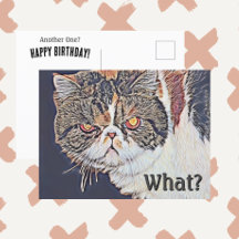Grouchy Grumpy Cat Funny Birthday