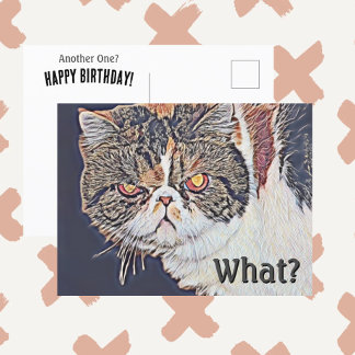 Grouchy Grumpy Cat Funny Birthday Postcard