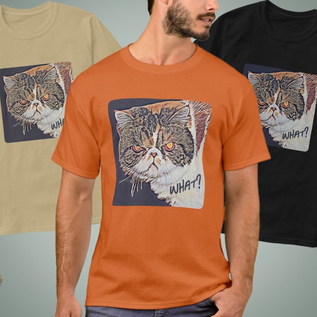 Grouchy Grumpy Cat Funny T-Shirt (Creator Uploaded)