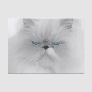 Grouchy Persian Cat Tissue Paper
