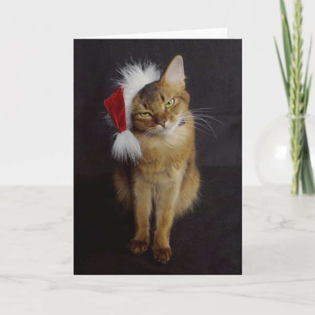 Grouchy Somali Cat in Santa Hat Christmas Holiday Card (Front)