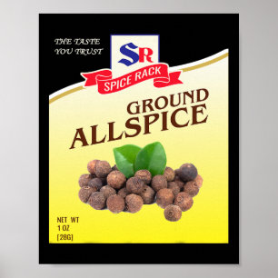 Ground Allspice Halloween Costume Unique Fun Foodi Poster