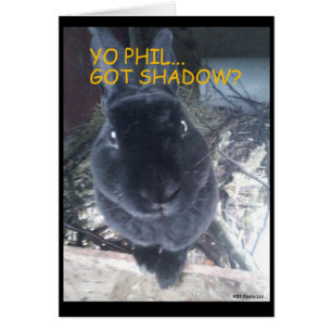 Ground Hog Day/Easter  Card