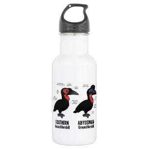 Ground Hornbil Statistics 532 Ml Water Bottle