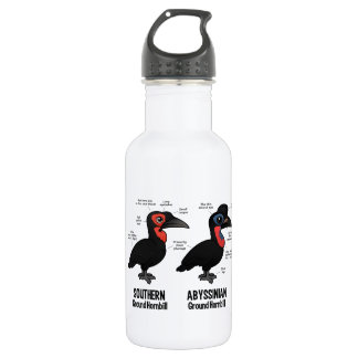 Ground Hornbil Statistics 532 Ml Water Bottle