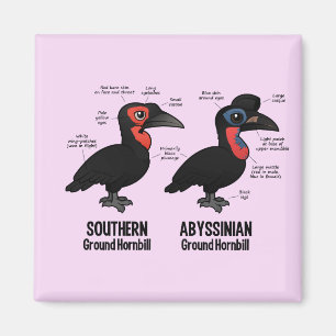 Ground Hornbil Statistics Magnet