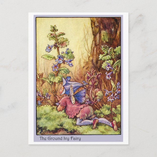 Ground Ivy Fairy Postcard (Front)