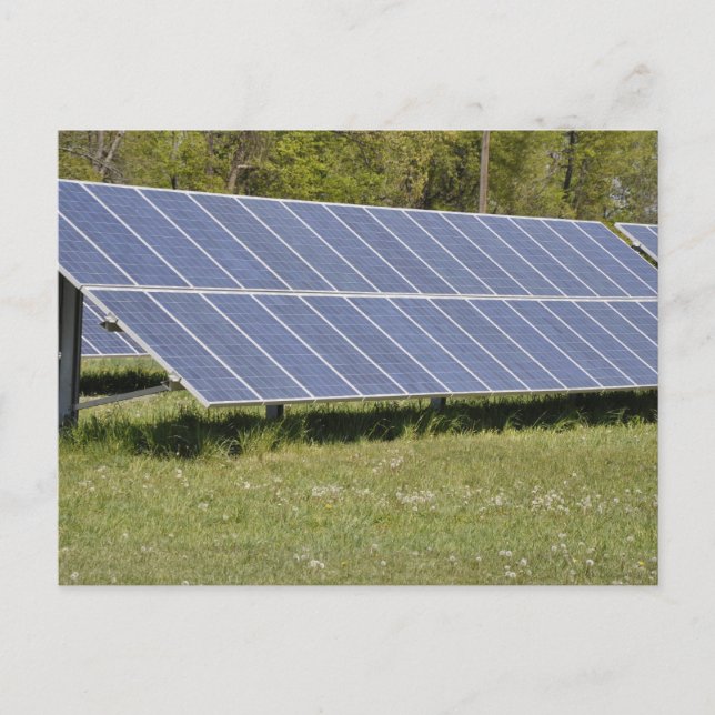 ground mounted solar panels postcard (Front)
