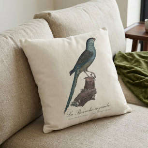 Ground Parrot or Swamp Parrot, Pezoporus Wallicus Cushion