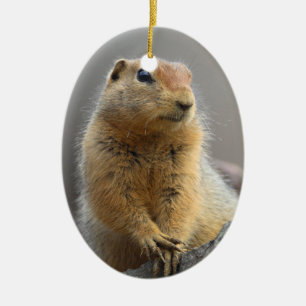 Ground Squirrel Ceramic Tree Decoration