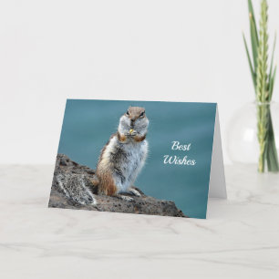 Ground Squirrel Congratulations Wedding Card