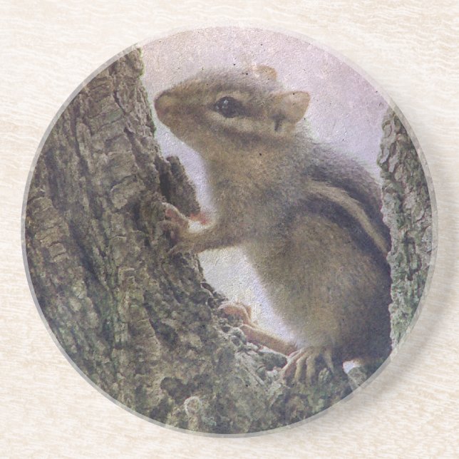 Ground Squirrel Grunge Coaster (Front)