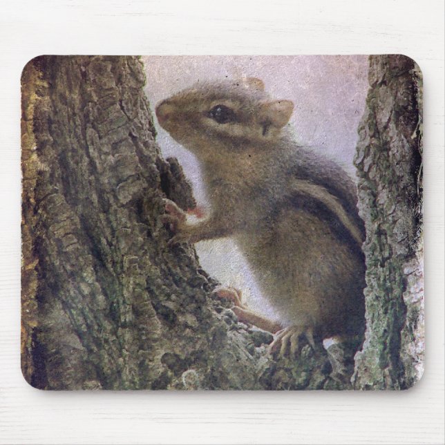 Ground Squirrel Grunge Mouse Mat (Front)
