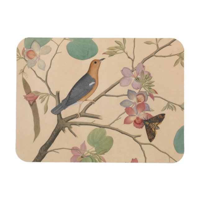 Ground Thrush and Moth on an Orchid Branch Magnet (Horizontal)