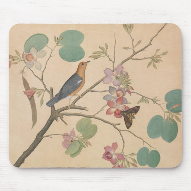 Ground Thrush and Moth on an Orchid Branch Mouse Mat (Front)