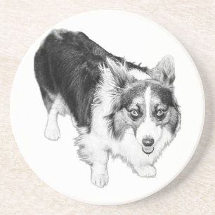 Grounded Gaze With Every Drink Coaster
