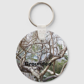 Grounded. Key Ring