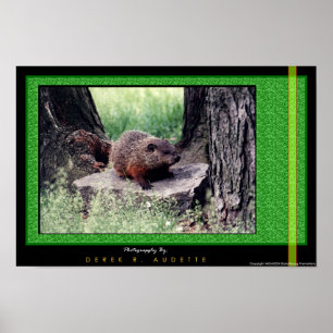 GroundHog 1 Poster