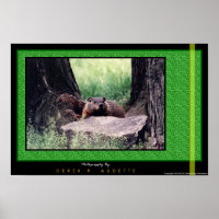 GroundHog 2
