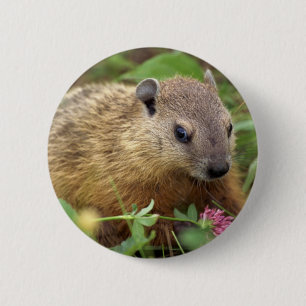 Groundhog 6 Cm Round Badge