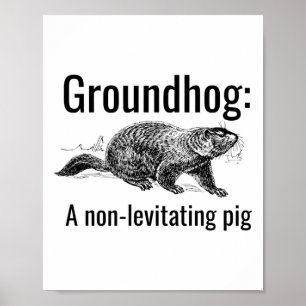 Groundhog A Non-levitating Pig Funny Pun Englieach Poster