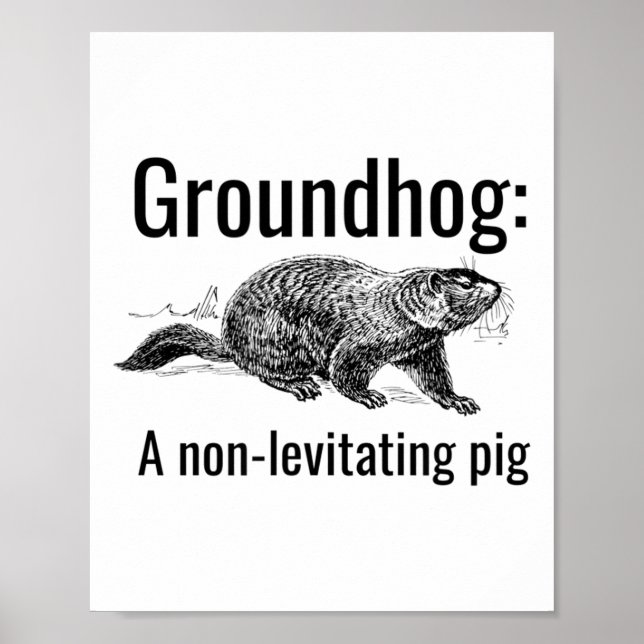 Groundhog A Non-levitating Pig Funny Pun Englieach Poster (Front)