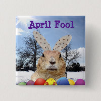 Groundhog April Fool Day