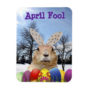 Groundhog April Fool Day Magnet