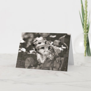 Groundhog Babies Card