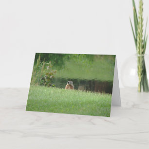Groundhog Card