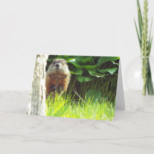 Groundhog Card