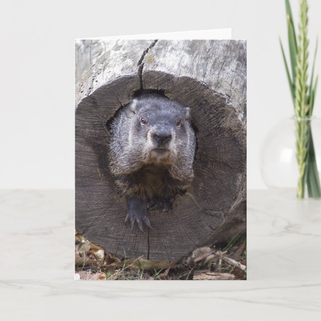 Groundhog Card (Front)