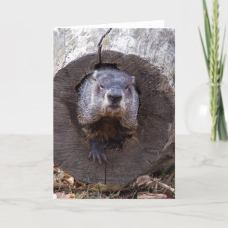Groundhog Card