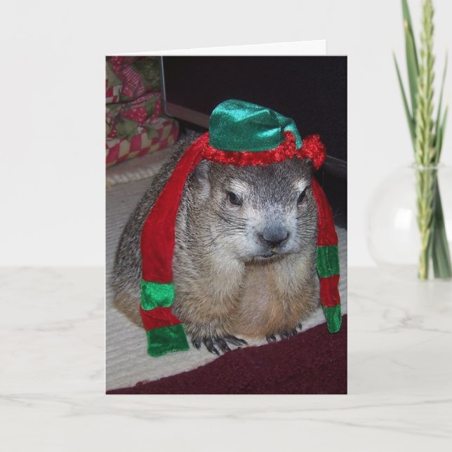 Groundhog Christmas Card (Front)